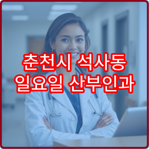 춘천시 석사동 일요일 산부인과 진료 가능 여부 정리
