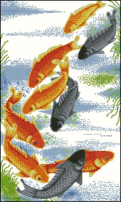 CMP 210009 Fish Of Fortune