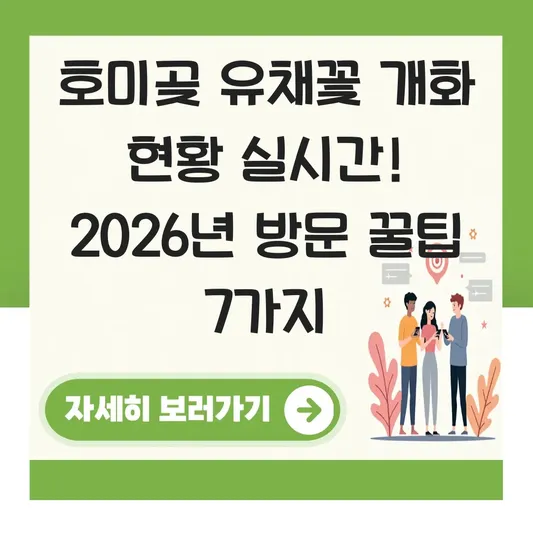 호미곶 유채꽃 개화 현황 실시간