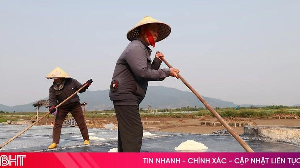 Nắng gay gắt, diêm dân tích cực bám đồng sản xuất - Báo Hà Tĩnh