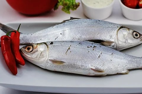 Молочная рыба