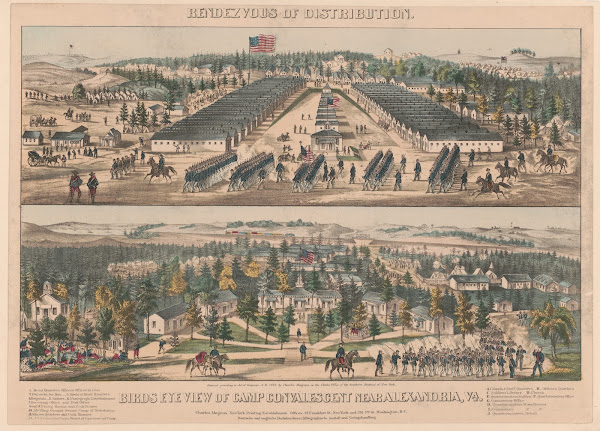 Rendezvous of distribution Birds eye view of camp convalescent near Alexandria V