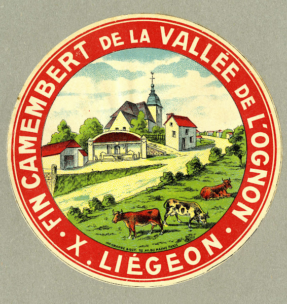 Fin camembert de la vallée de lOgnon