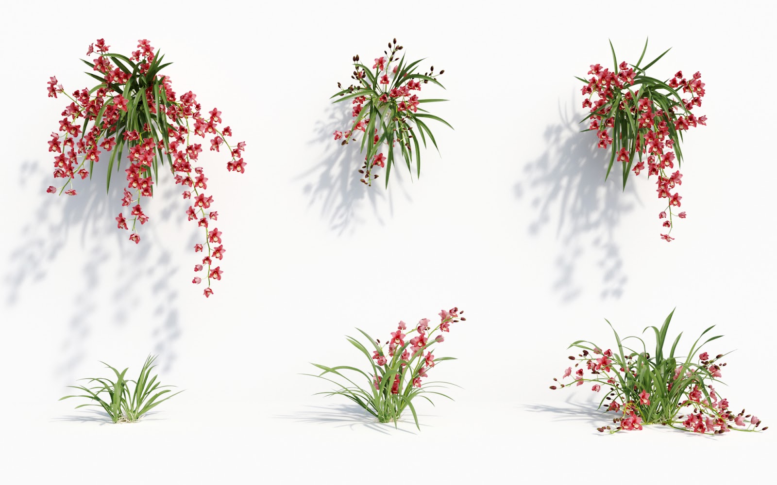 Maxtree - Plant Models Vol.8