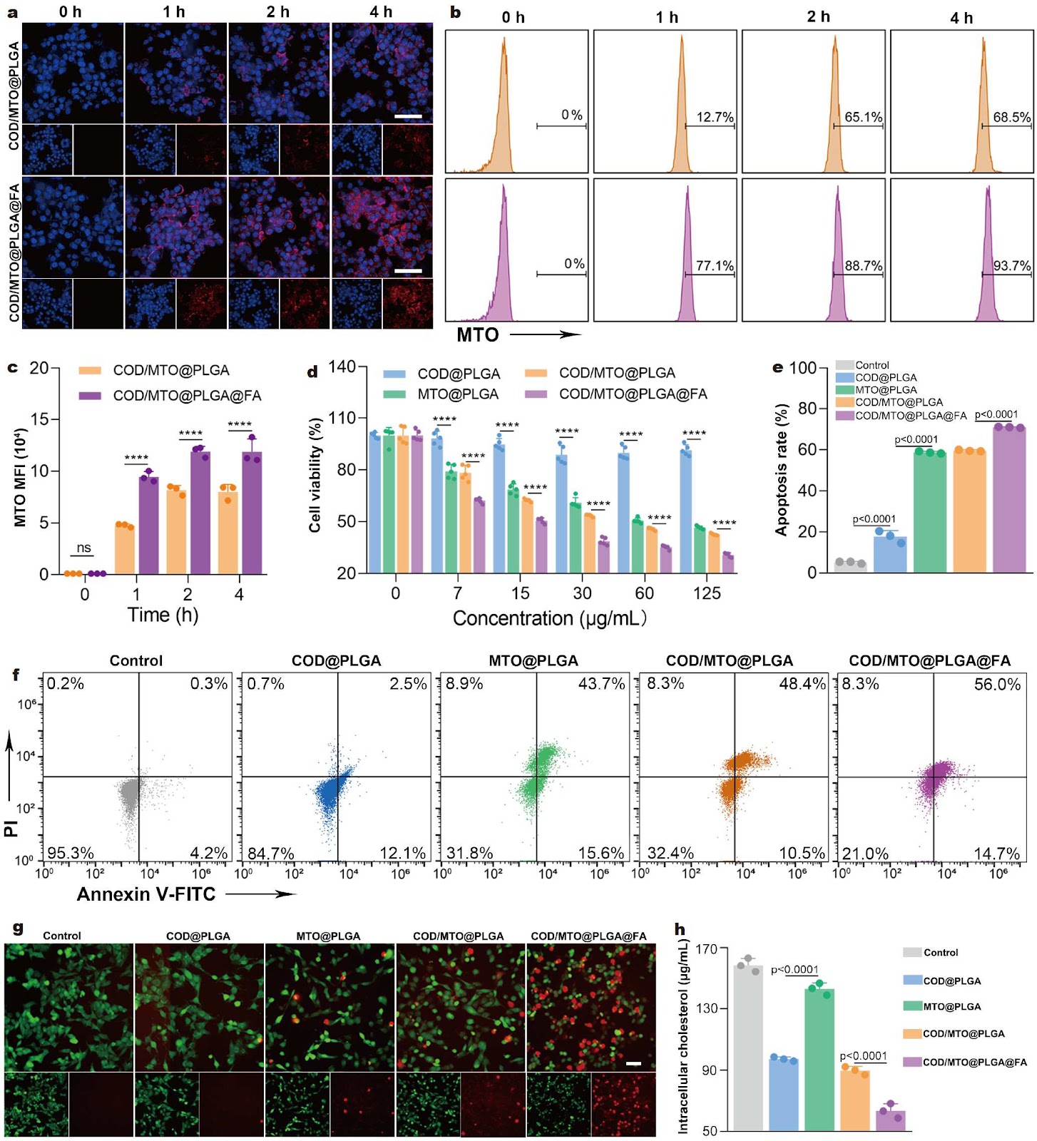 Nanotherapeutic Platform-Mediated Cholesterol Metabolism Regulation for Boosting Antitumor Chemo-Immunotherapy