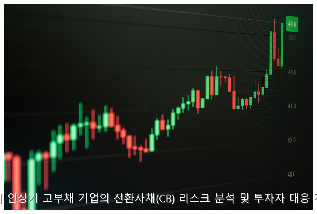 금리 인상기 고부채 기업의 전환사채(CB) 리스크 분석 및 투자자 대응 전략 핵심 안내 및 분석 인포그래픽 (3)