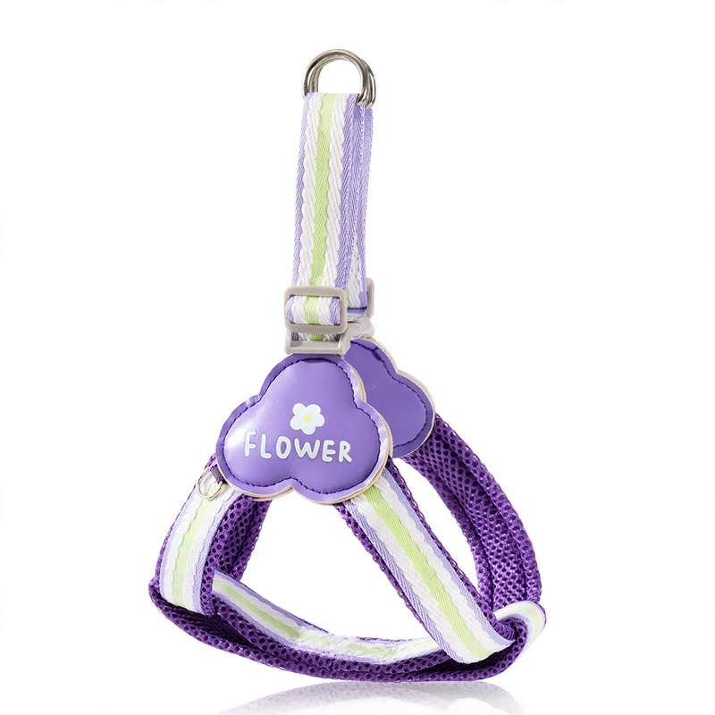 Y-shaped dog harness with leash, fabric
