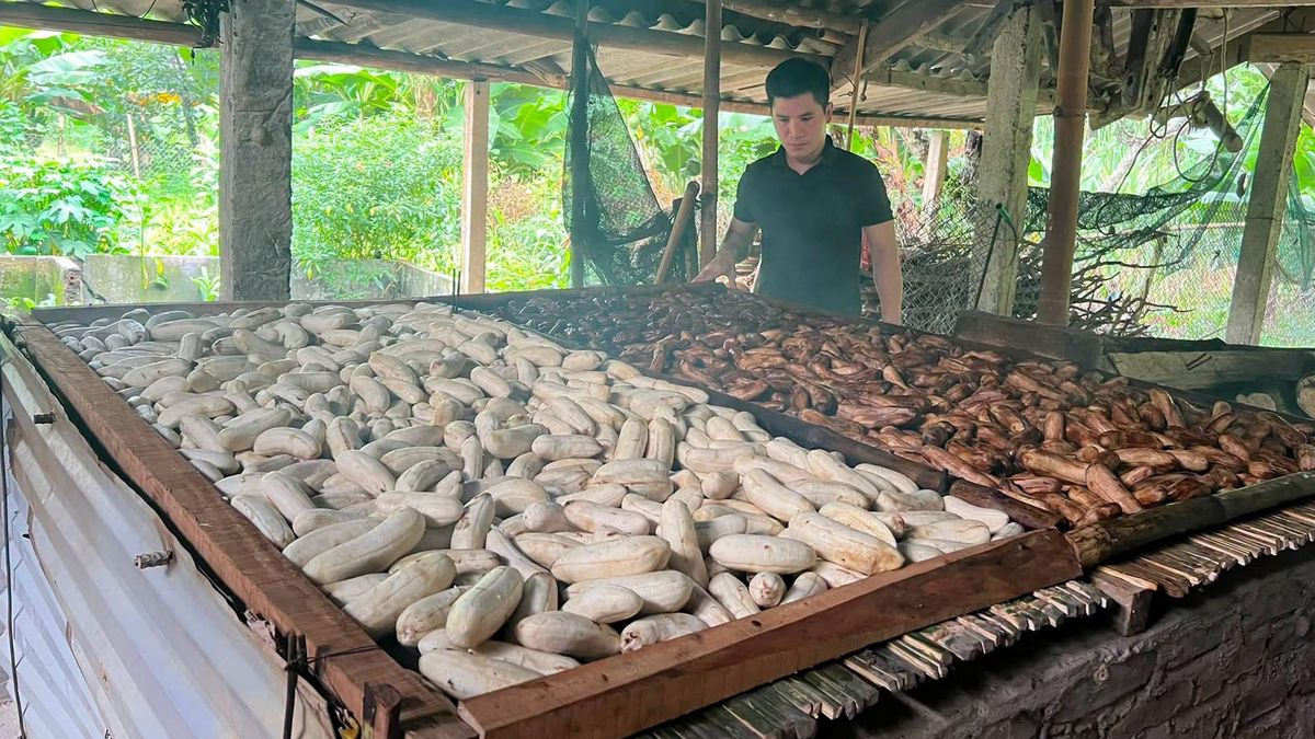 Đặc sản Tuyên Quang làm từ chuối gác bếp, vị ngọt thơm, để vài ngày vẫn mềm dẻo - Báo VietnamNet