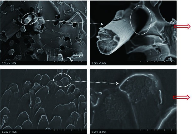 In-situ thermal Raman mapping and stress analysis of CNT/CF/epoxy interfaces