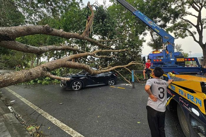 Dông lốc tại Lào Cai làm 3 người bị thương, hơn 4.100 nhà dân tốc mái - Báo Xây Dựng
