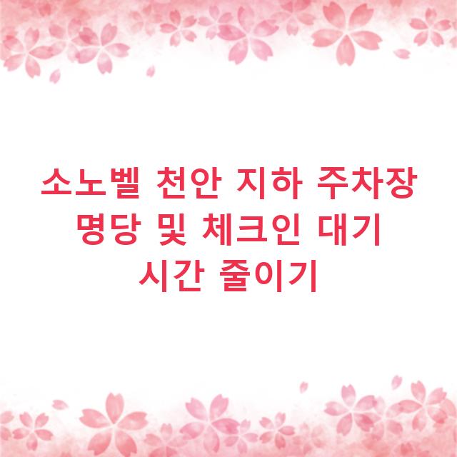 소노벨 천안 지하 주차장 명당 및 체크인 대기 시간 줄이기