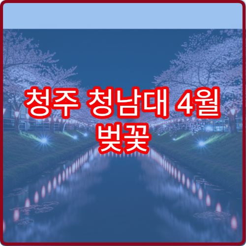 청주 청남대 4월 벚꽃 캠핑 차박 호수 추천 사이트