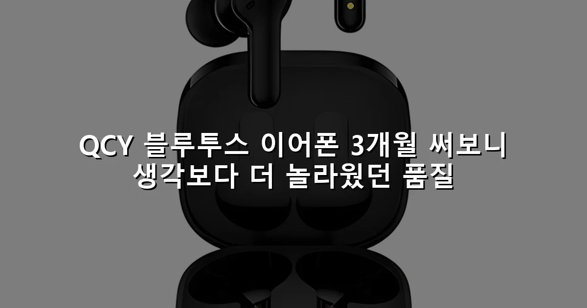 QCY 블루투스 이어폰 3개월 써보니 생각보다 더 놀라웠던 품질