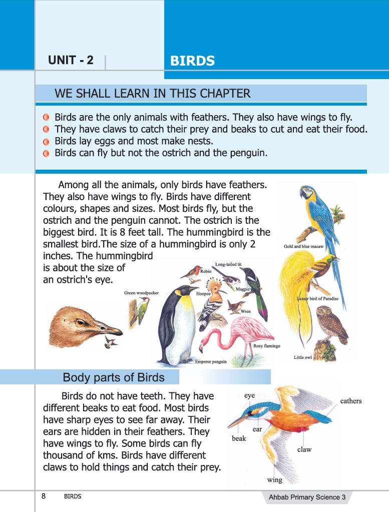 Science Book 3