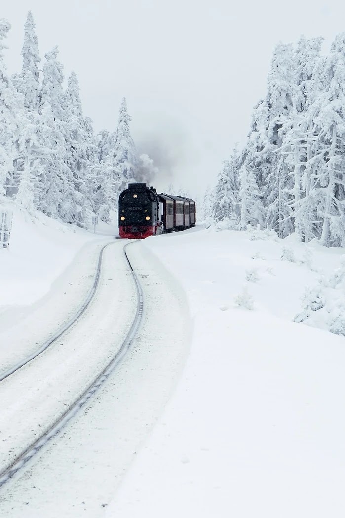 산업혁명 배경부터 세계 경제 변화까지 시계열로 살펴보기