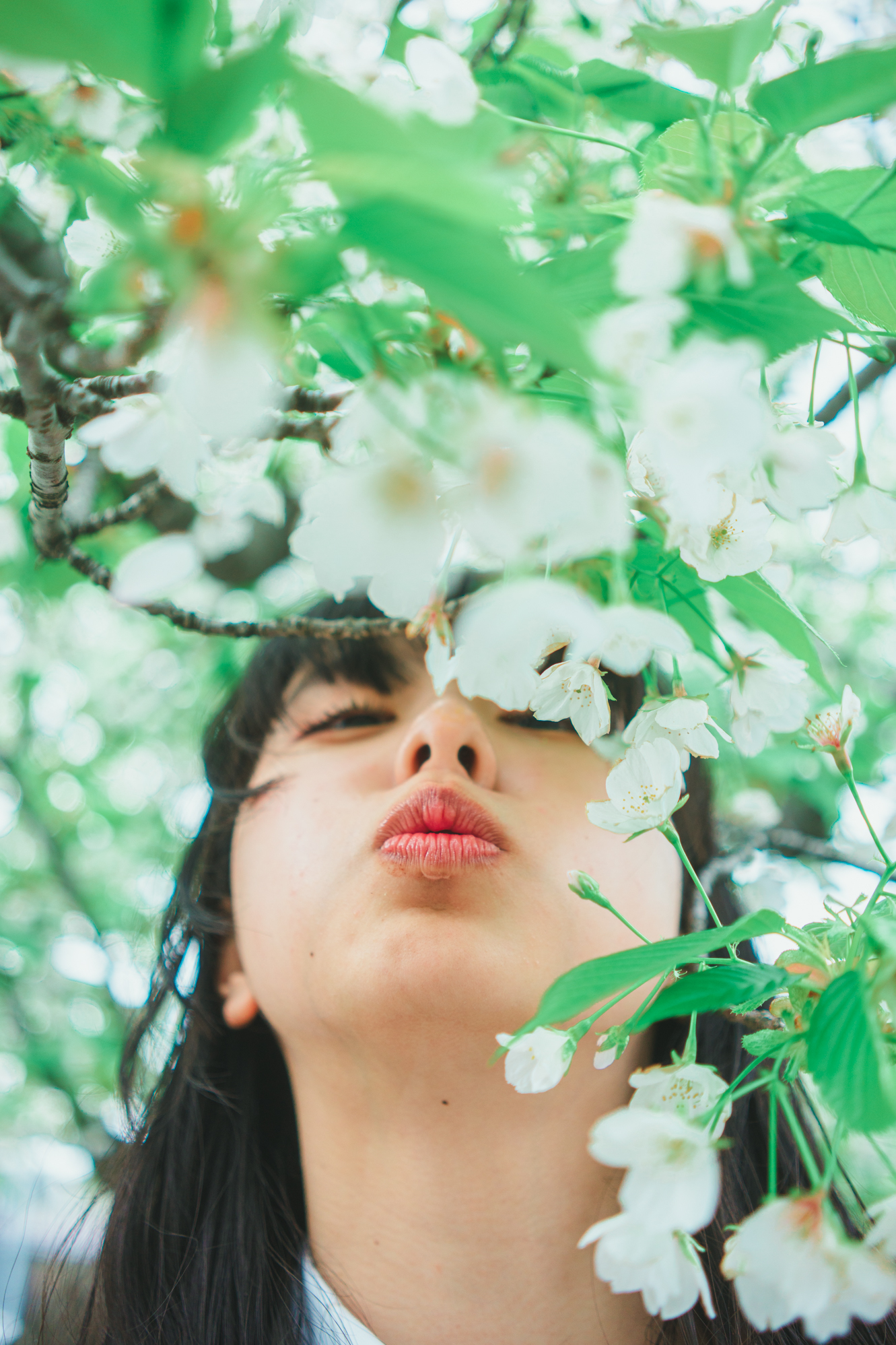 Portrait — Makino Shota