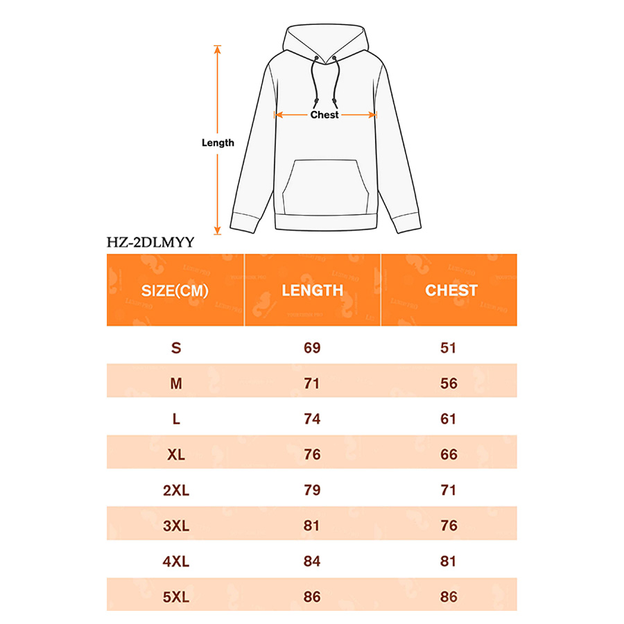 AOP HZ 2D hoodie