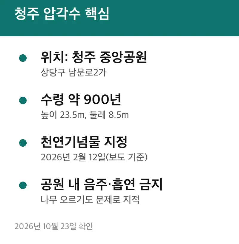 청주 압각수 핵심