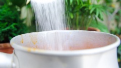 Phần sốt cà: Cà chua cắt hạt lựu. Đặt một chiếc nồi nhỏ lên bếp, phi thơm phần hành tím băm nhỏ, sau đó cho cà chua vào xào chung. Dùng sạn dầm dầm phần cà chua để cà chua dễ tan ra hơn nhé. Nêm nếm phần sốt cho vừa ăn.