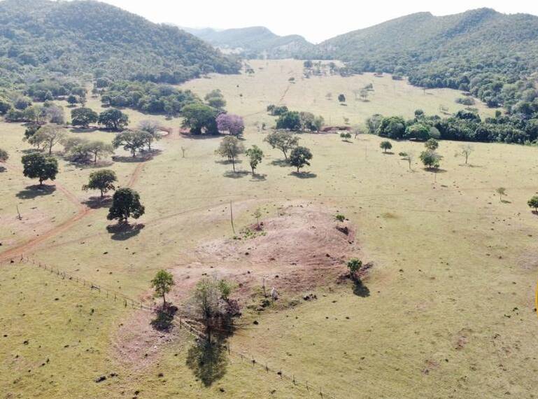 Fazenda no Município de Faina - GO 5