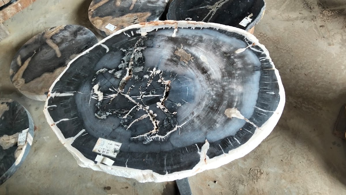 ROUND COFFEE TABLE — SKU CFPTN.023 | Petrified Wood by PJ Antique Bali