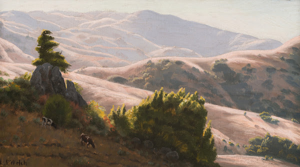 Cattle Grazing in Sunlit Hills