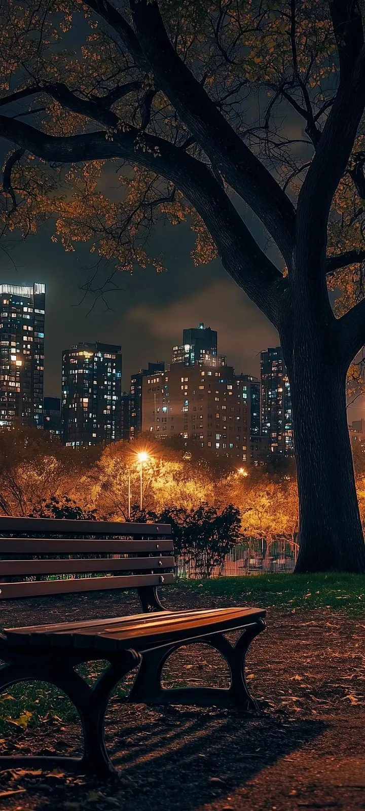 Night Cityscape, Urban Park Night, Park Bench View, Evening Streetlights Full HD iPhone Wallpaper Background (1080x2400)
