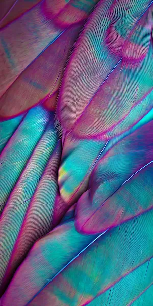 Feather, Birds, Parrots, Aesthetics, Purple 2K iPhone Wallpaper Background
