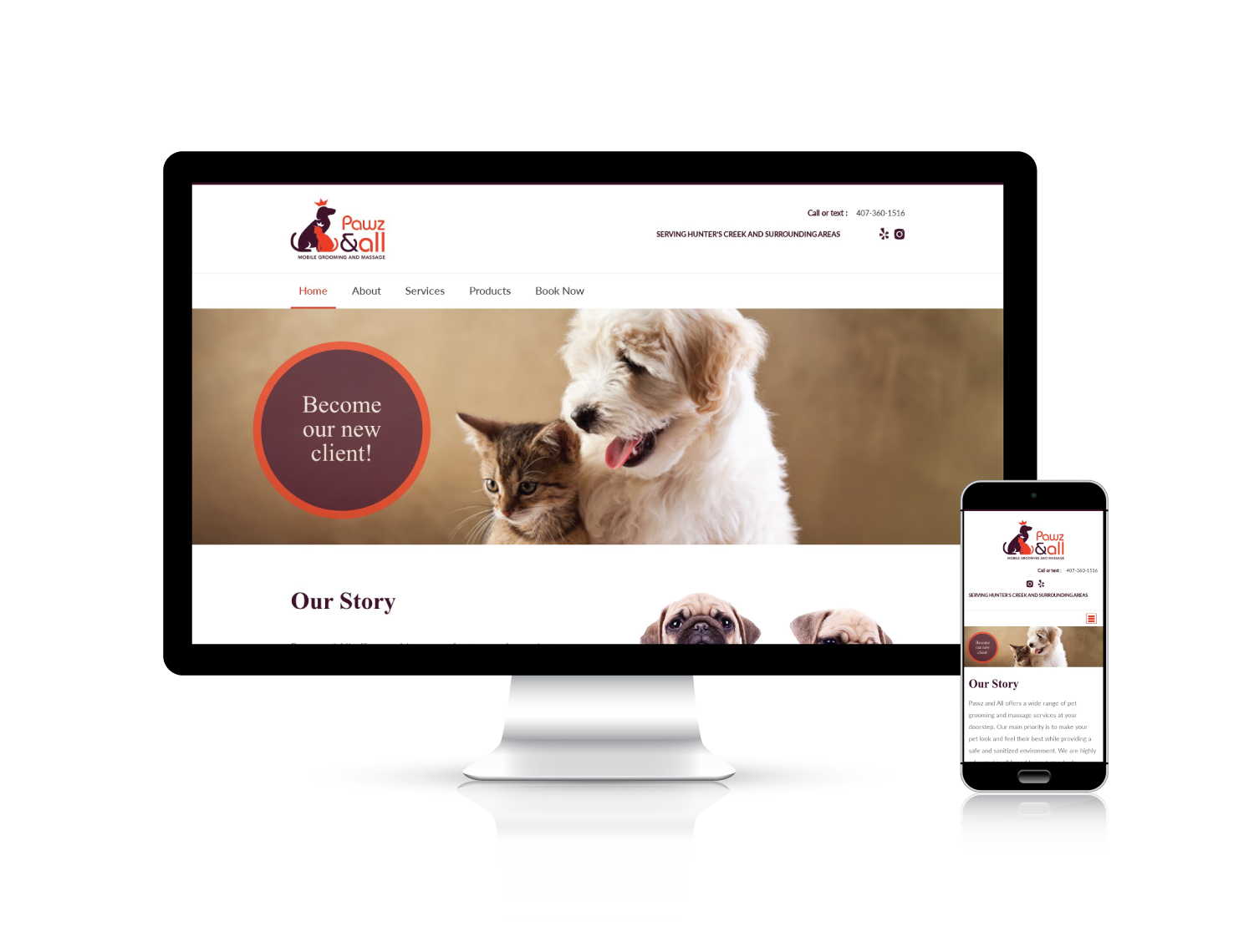 Responsive Website Design Portfolio