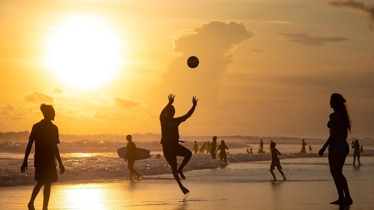 배구 리베로 역할과 경기 중 활용 전략