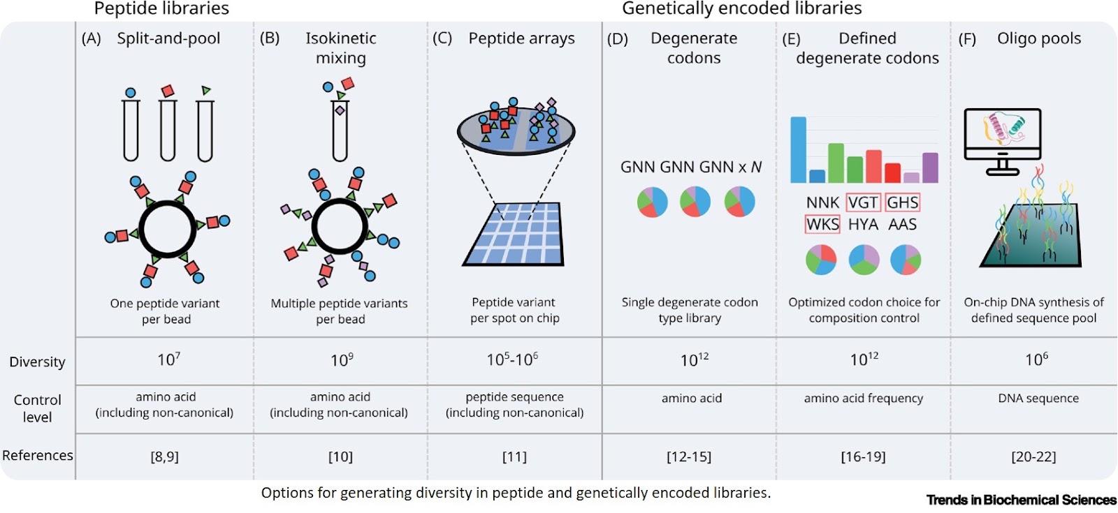 Minimal-alphabet proteins by evolution, engineering, and design