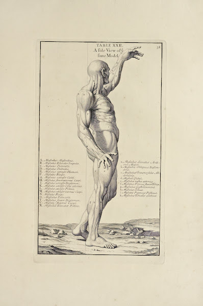 Anatomy improvd and illustrated with regard to the uses thereof in designing Pl2