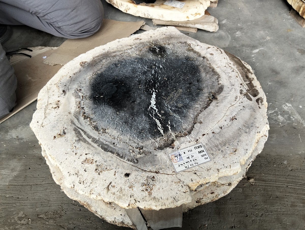 PALM COFFEE TABLE — SKU CFTPK.13.23 | Petrified Wood by PJ Antique Bali