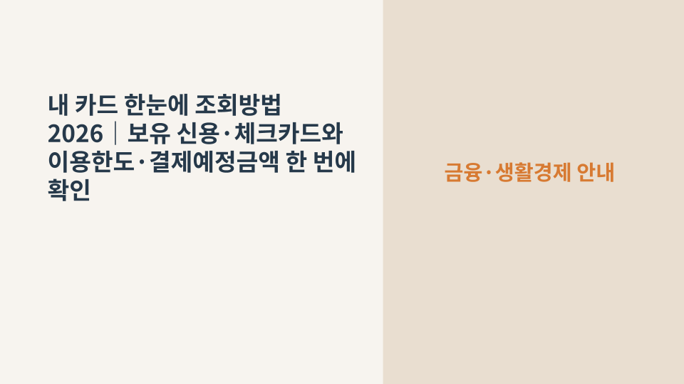 여러 신용카드와 체크카드 보유 내역을 한 번에 확인하는 장면