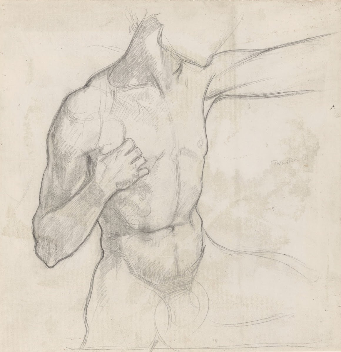 Romp Van Mannelijk Naakt 1878   1938