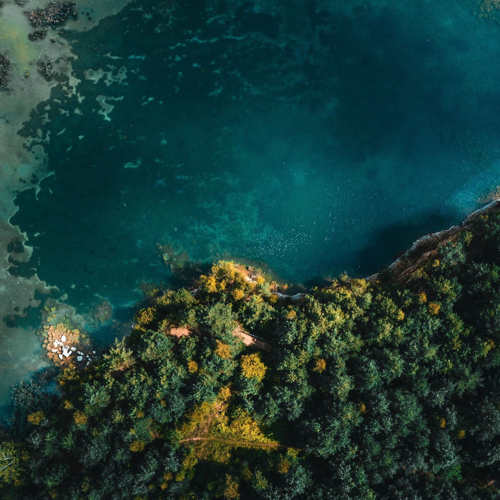 Download Aerial View, Lake, Forest, Nature 4K iPhone