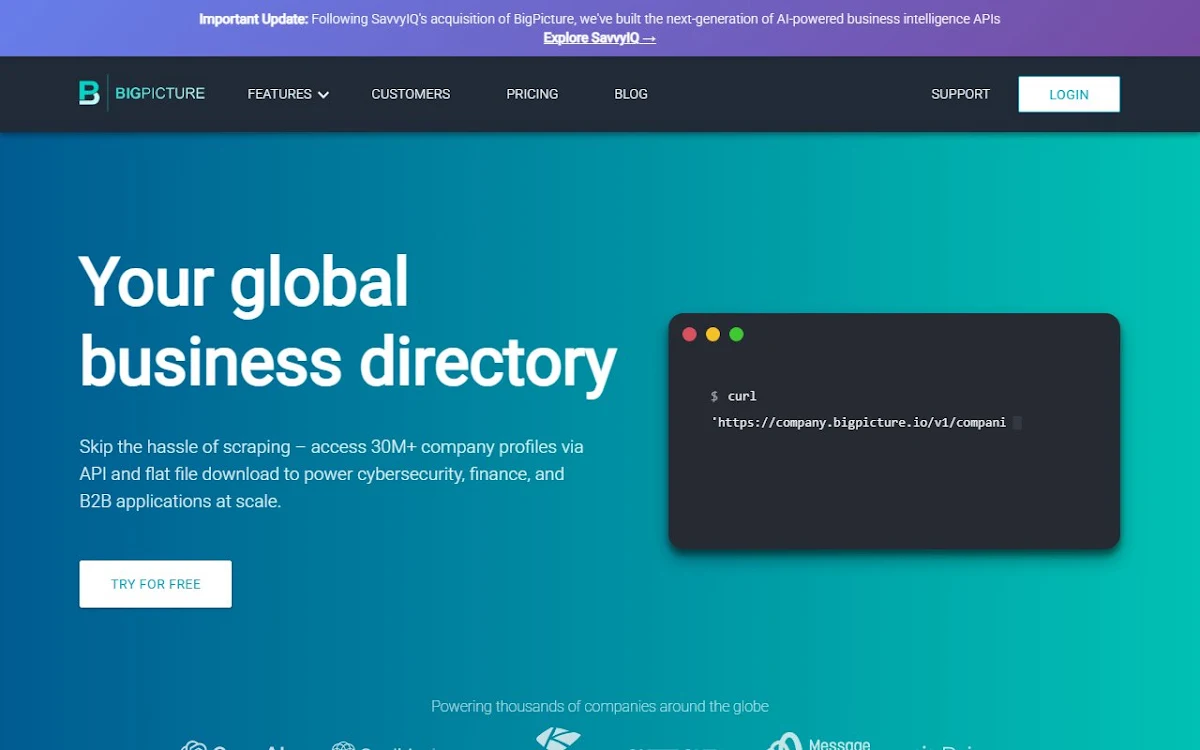 Captura de World's Largest Free Company Dataset