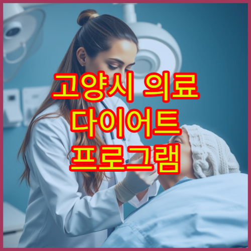 고양시 의료 다이어트 프로그램 검사부터 체중 관리 치료까지 가능한 병원 정보