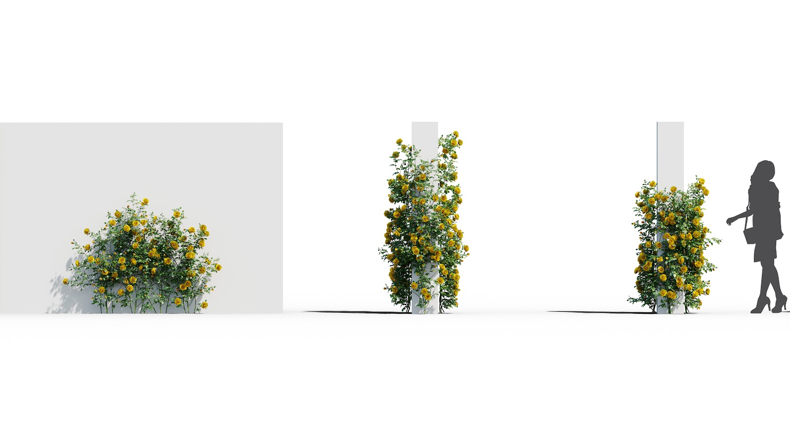Maxtree - Plant Models Vol.37