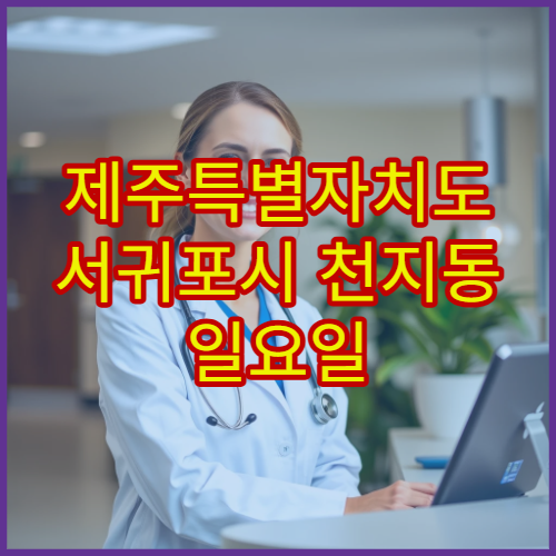 제주특별자치도 서귀포시 천지동 일요일 당번약국 문 여는 약국 안내