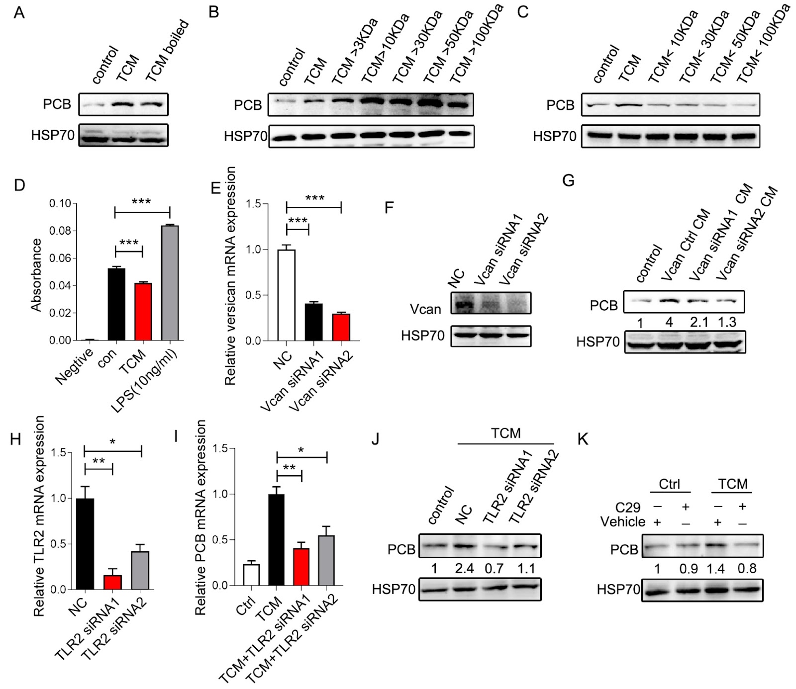 Melanoma-derived versican reactivates tumor-associated macrophages by upregulating pyruvate carboxylase through TLR2-MyD88-RelB axis under normoxia