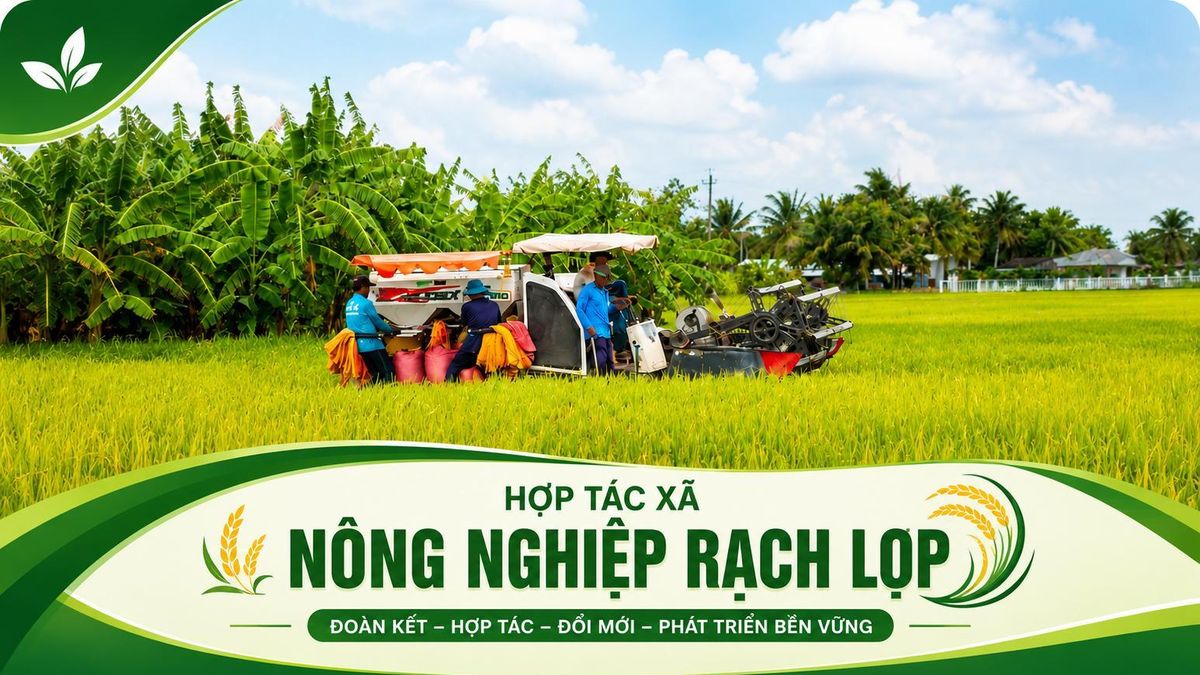 HTX Nông nghiệp Rạch Lọp: Điểm sáng kinh tế tập thể trên đồng đất Vĩnh Long - Tạp chí Vnbusiness