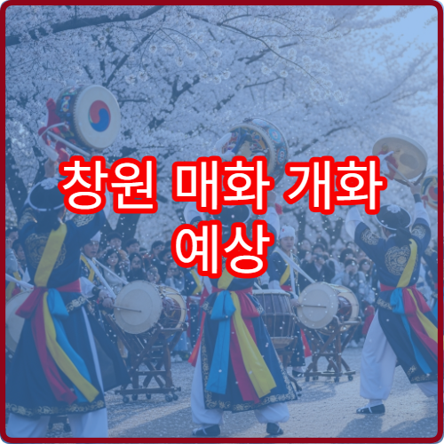 창원 매화 개화 예상 창원 매화꽃 개화 정보