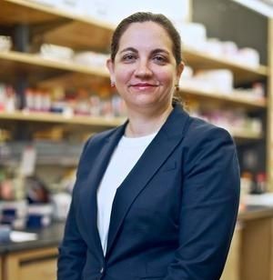 Look who is weaving the neural web? Control of synaptic connectivity by astrocytes