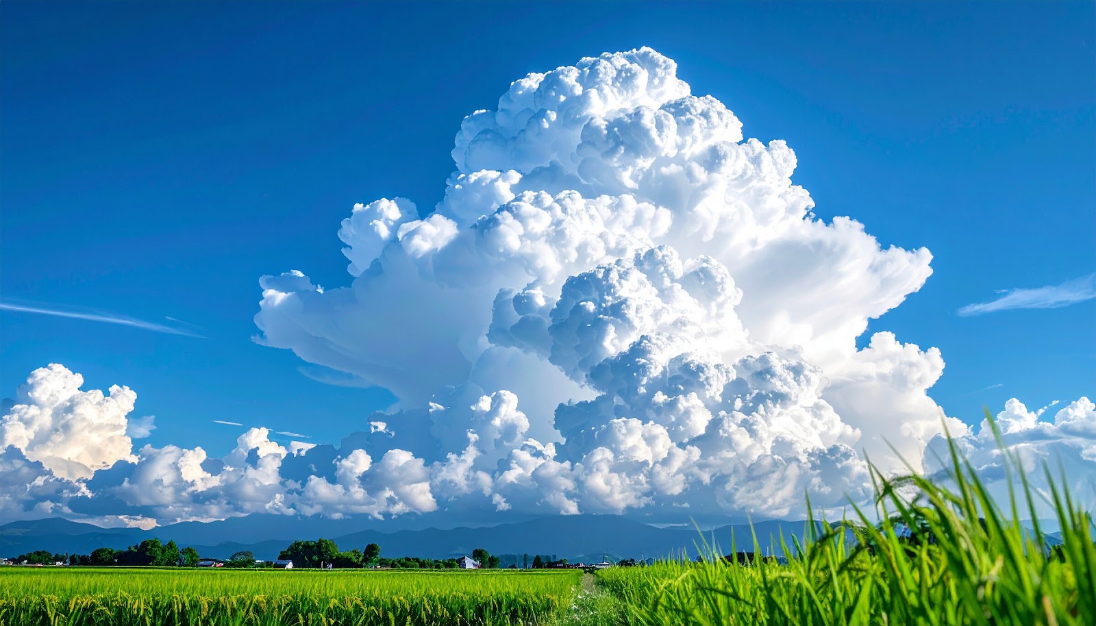 入道雲と緑の田園が広がる夏の風景