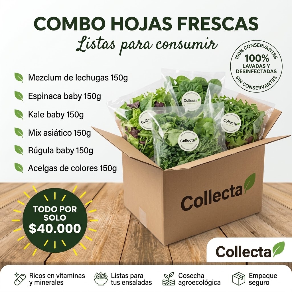 Comprar combo ensaladas orgánico