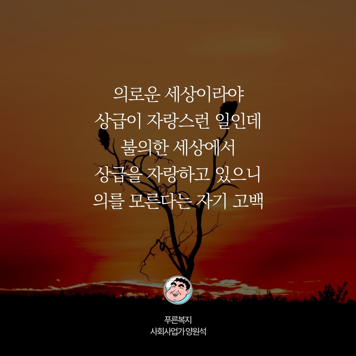 카드뉴스