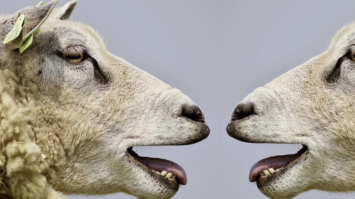 유류분 청구 시 애착 유형별 갈등 대응 전략