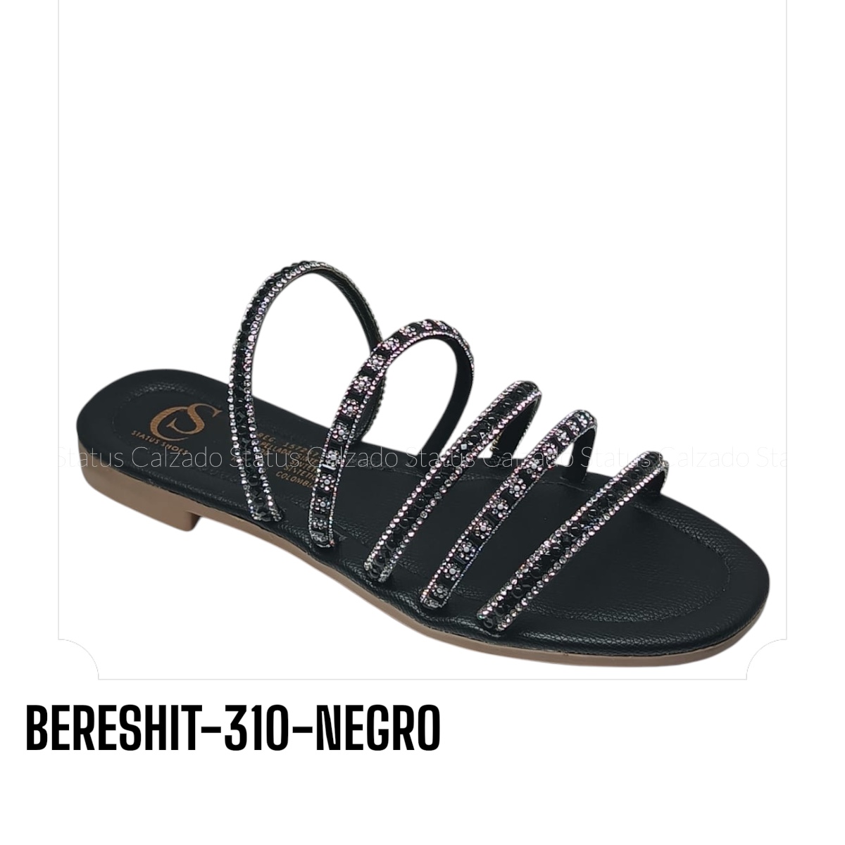 BERESHIT-310-NEGRO