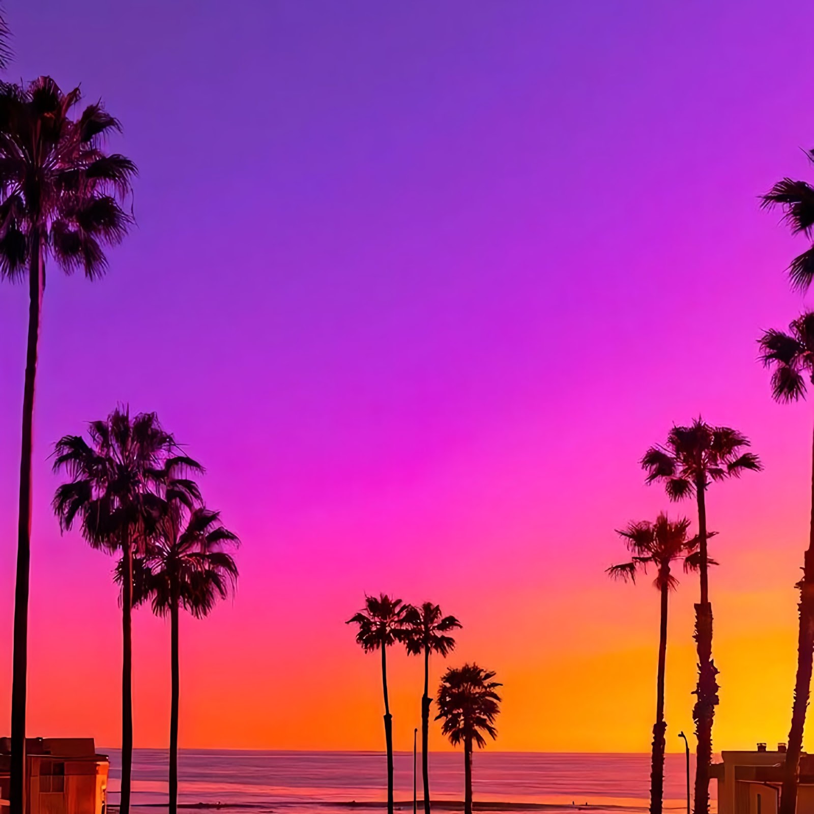 Download Beach Sunset, Palm Trees, Coastal Scenery, Tropical Landscape 2K iPhone